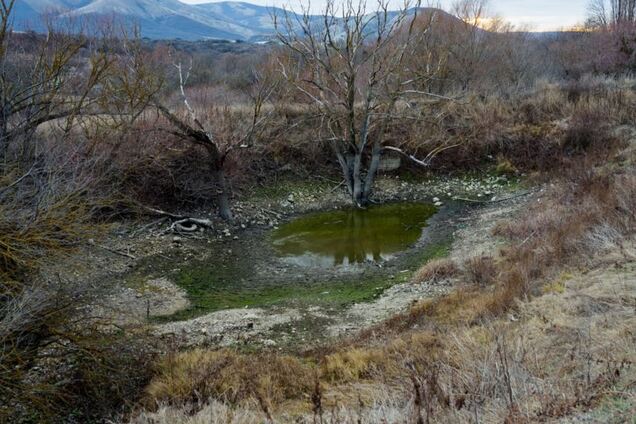 Засуха в Крыму