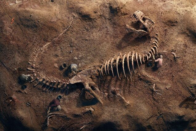 На карте мира нашли скелет доисторического зверя