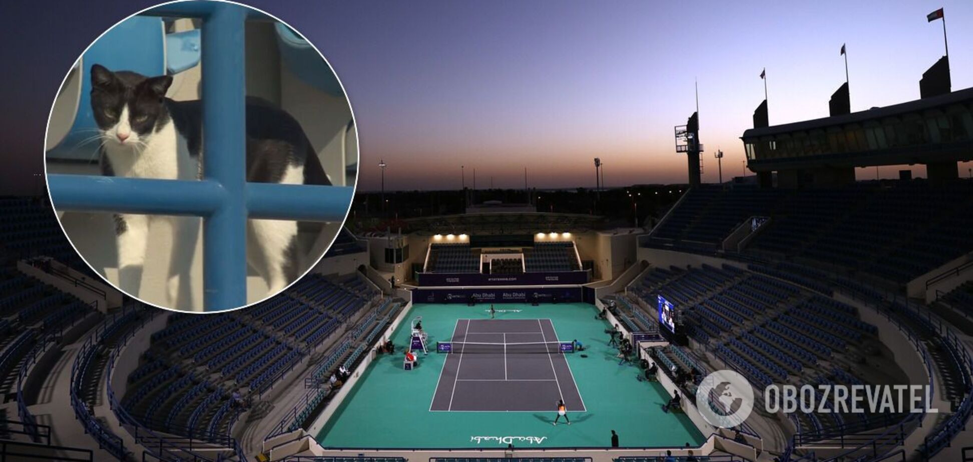 Турнир WTA в Абу-Даби