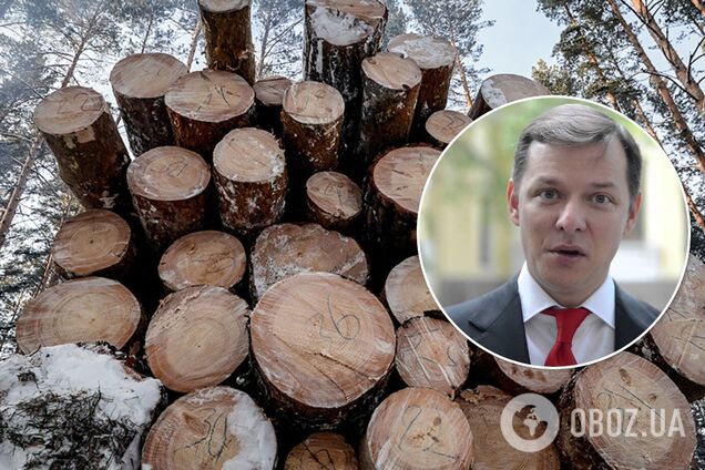 Ляшко потребовал от властей продлить мораторий на вывоз леса-кругляка. Видео
