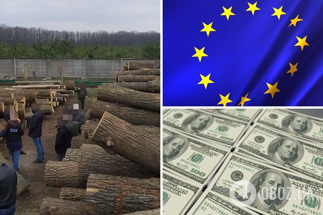 СБУ раскрыла масштабные схемы незаконной вырубки и продажи древесины из Украины