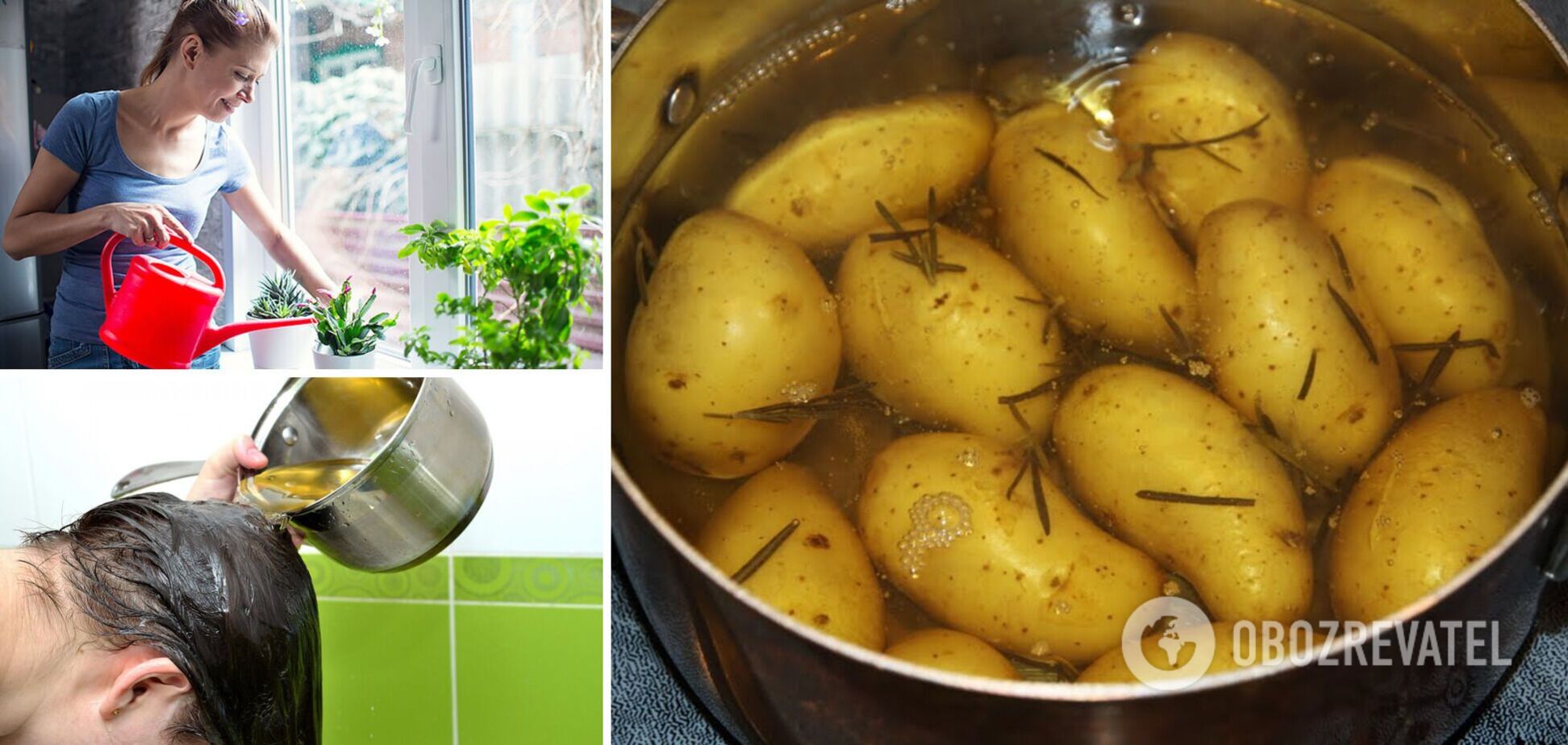Що робити з водою, де варилась картопля: чотири несподіваних лайфхаки