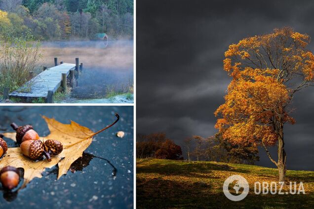 Туман и сильные дожди: синоптики предупредили об ухудшении погоды в Украине. Карта