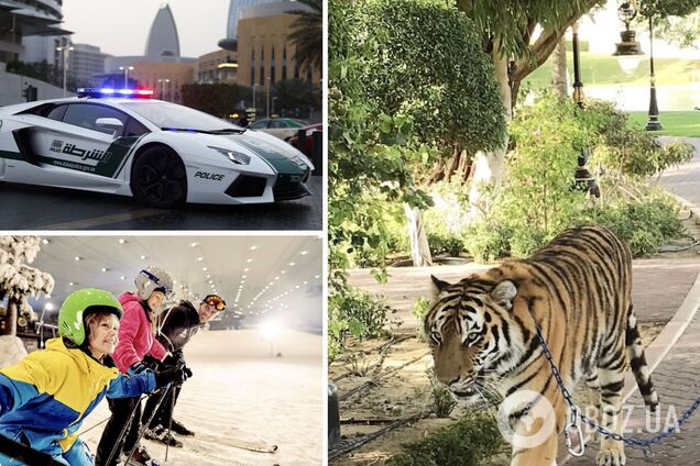 Шейхи заводят экзотических животных, а полицейские ездят на суперкарах