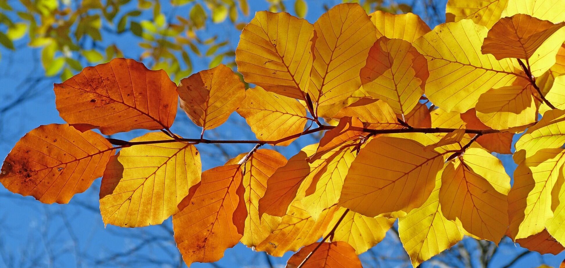 14 октября - праздник