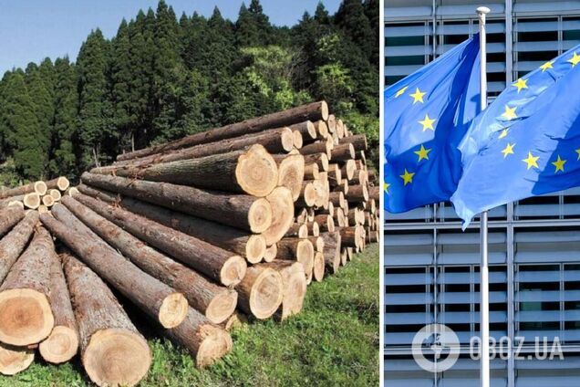 Україна скасує мораторій на експорт лісу-кругляку в обмін на 600 млн євро від Євросоюзу, – журналіст
