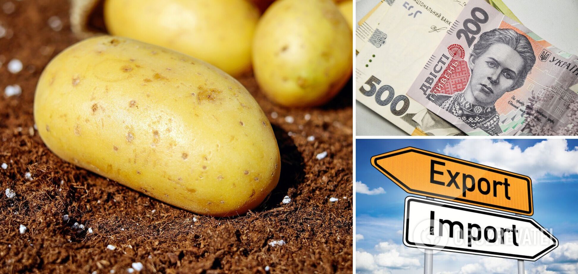 Цены на картошку в Крыму вдвое выросли за несколько дней