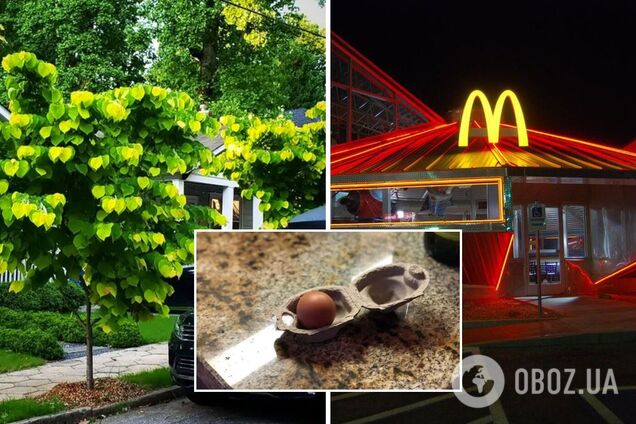 Подборка забавных фото