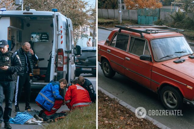 В Днепре авто на скорости сбило 14-летнего мальчика с собакой: ребенок умер в больнице. Фото и видео