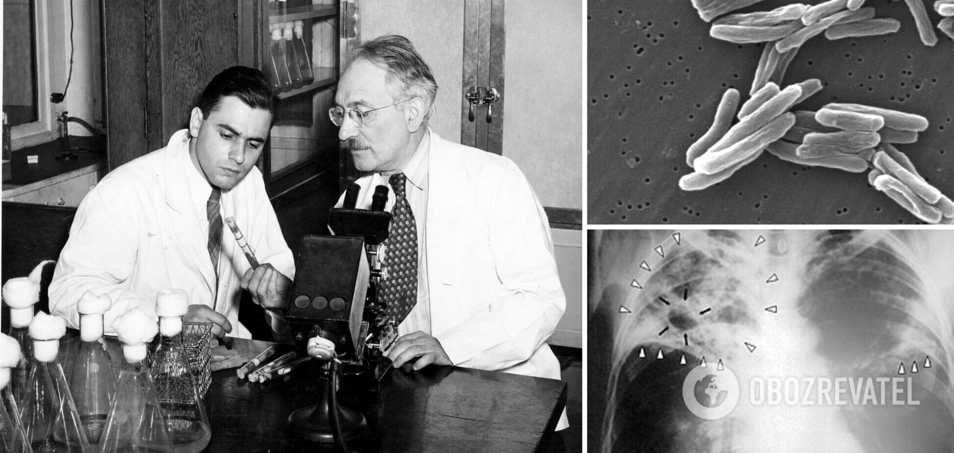 Зельман Ваксман и Альберт Шац