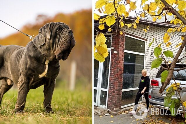 Животными никто не занимался: выяснились детали гибели женщины от нападения бойцовских псов в Харькове