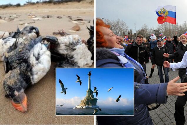 Новости Крымнаша. Почему Севастополь 'непобедимый' и почему он 'город русской славы'?