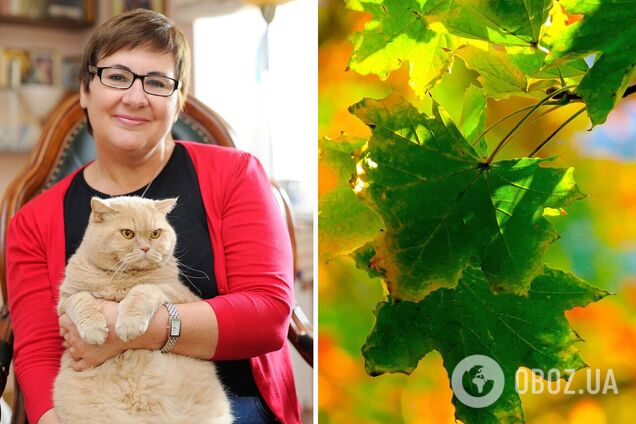 Погода в Україні двічі зміниться до кінця жовтня: Діденко озвучила прогноз