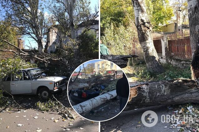 ЧП произошли из-за сильных порывов ветра