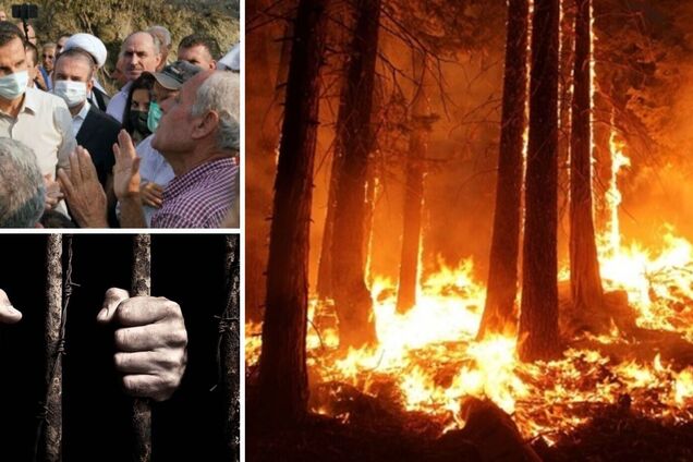 В Сирии казнили десятки людей, которых обвинили в лесных поджогах