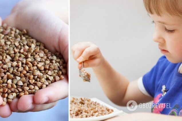 В Україні зафіксовано рекорд зі збору гречки