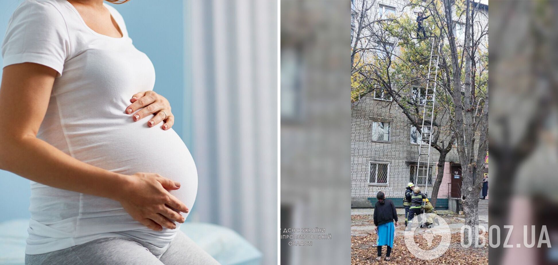 На Дніпропетровщині вагітна жінка залізла на дерево і застрягла