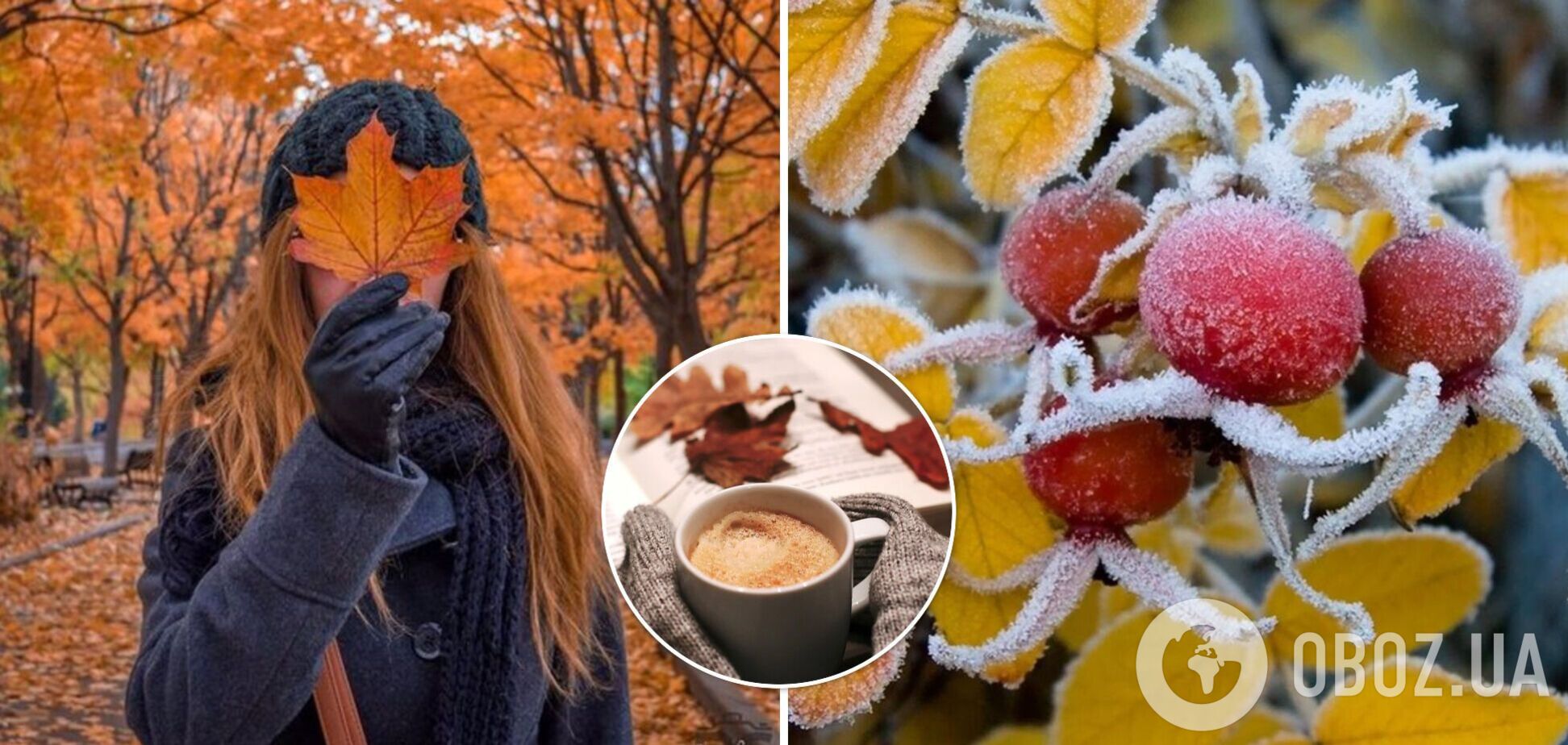 Антициклон принесет резкое похолодание: какую погоду ждать в воскресенье. Карта