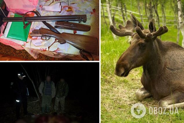 На Черниговщине убили лося: лесник засек четырех мужчин, один умер при попытке бегства. Детали и фото