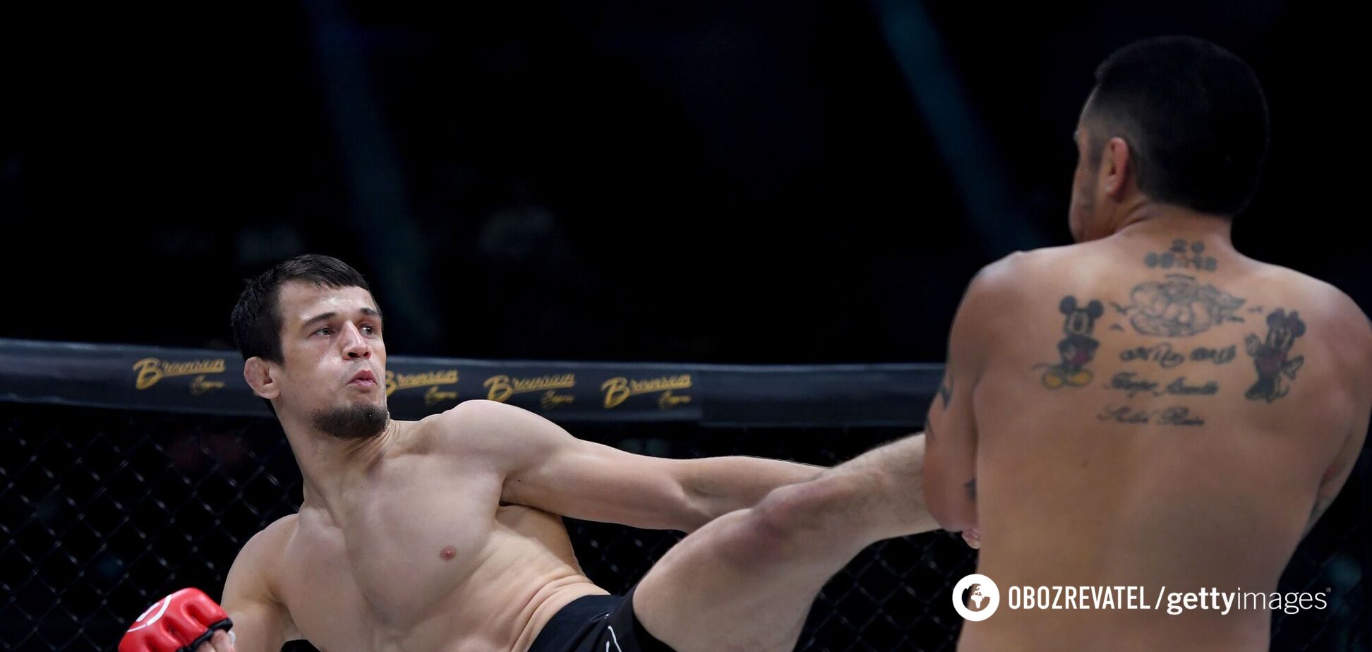 Брат Нурмагомедова удушил соперника в первом раунде на Bellator 269. Видео