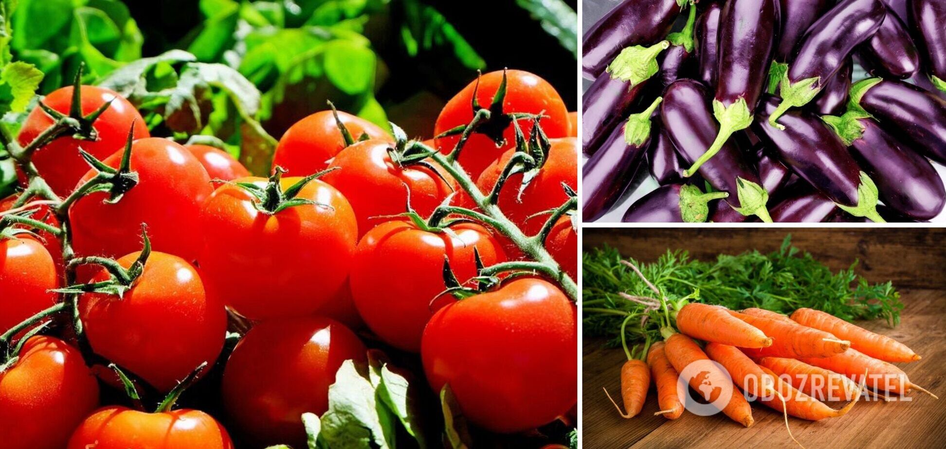 В Украине подешевели овощи