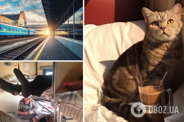 Попутчики делают путешествие незабываемым