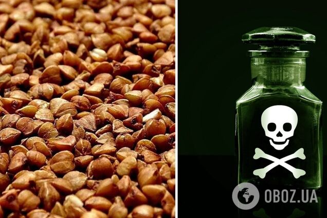 В Украину завезли зараженную гречку из России