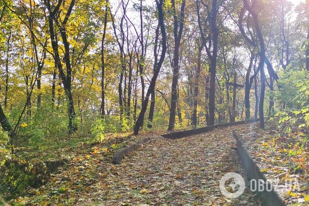 В среднем температура воздуха будет +13