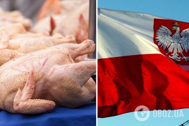 В Украину из Польши завезли курятину с сальмонеллой