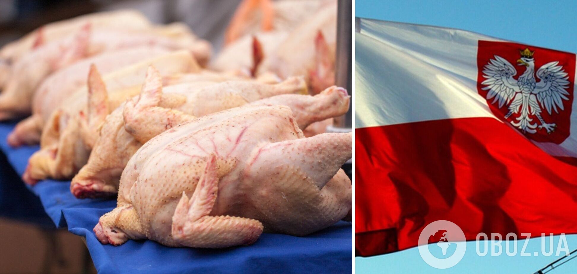 В Україну з Польщі завезли курятину із сальмонелою