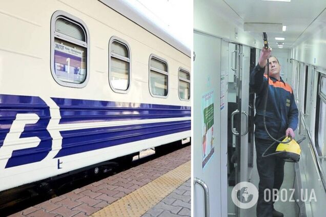 По поезду 'Укрзалізниці' бегают тараканы