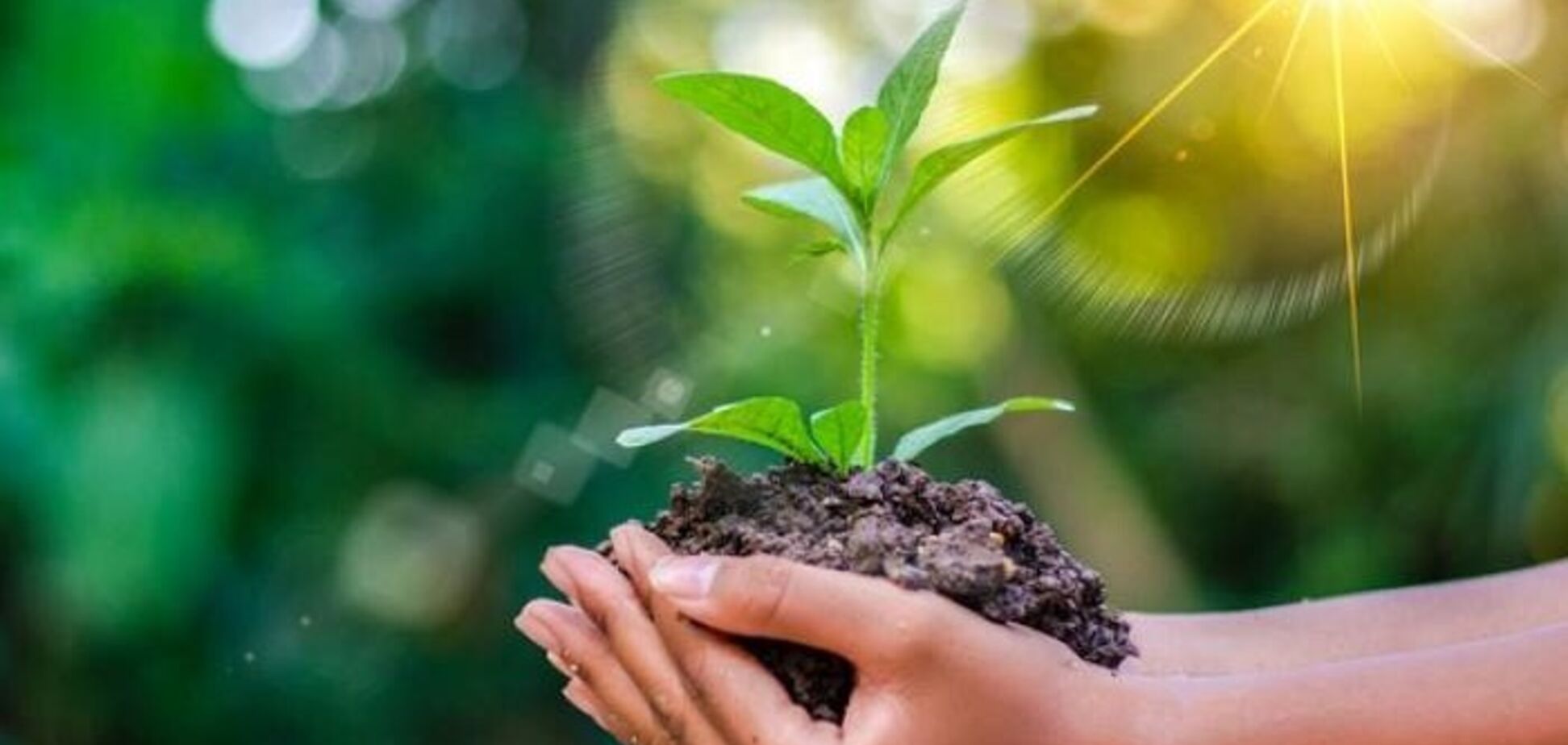 Українські екологи закликали ВР ухвалити закон про промвикиди