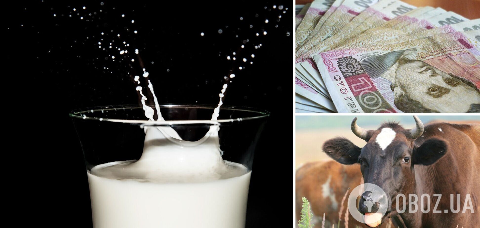 Специалисты рассказали о качестве молока в Украине