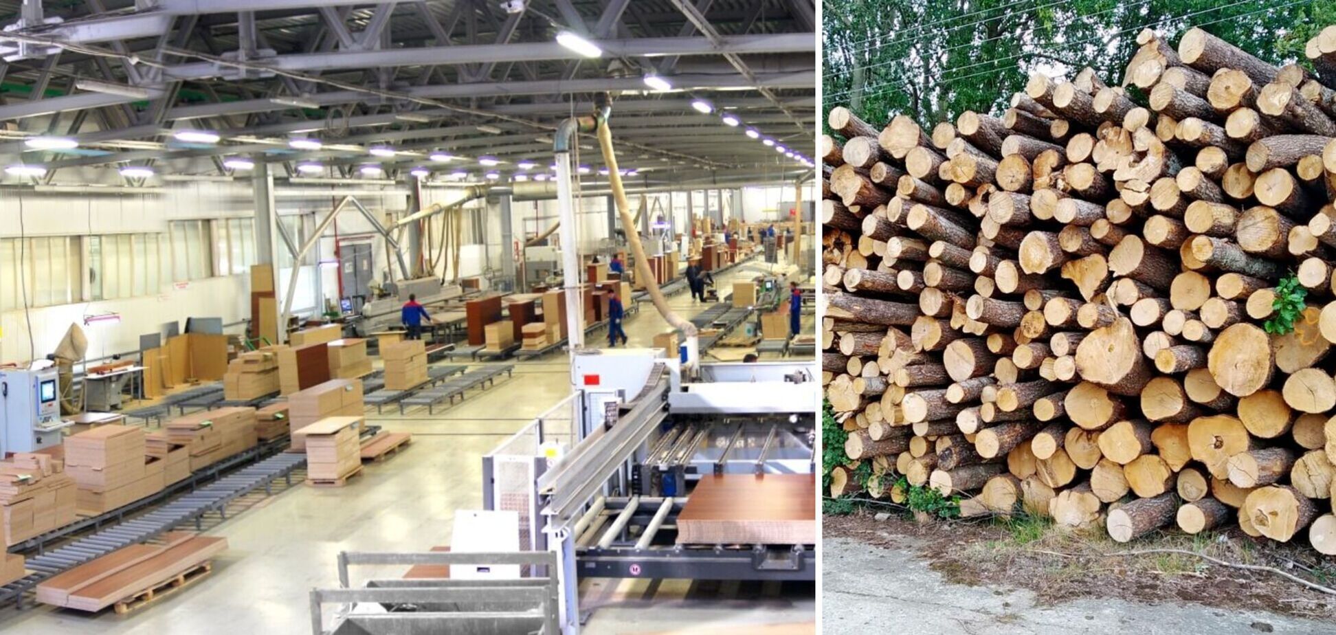 Мебельные фабрики из Украины стали выходить на международный уровень