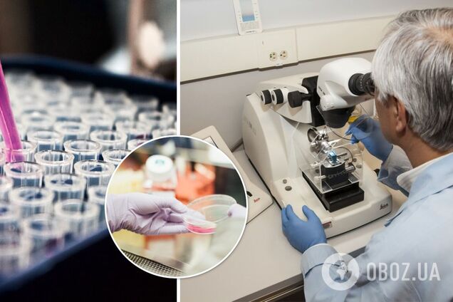 В Китае заговорили об угрозе возникновения 'вируса Х' и призвали готовиться к борьбе с ним