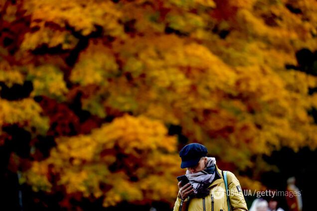 Когда в октябре будет тепло, а когда есть вероятность снега: народный синоптик дал прогноз