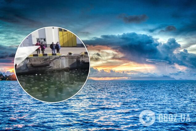 Медузи в Одесі