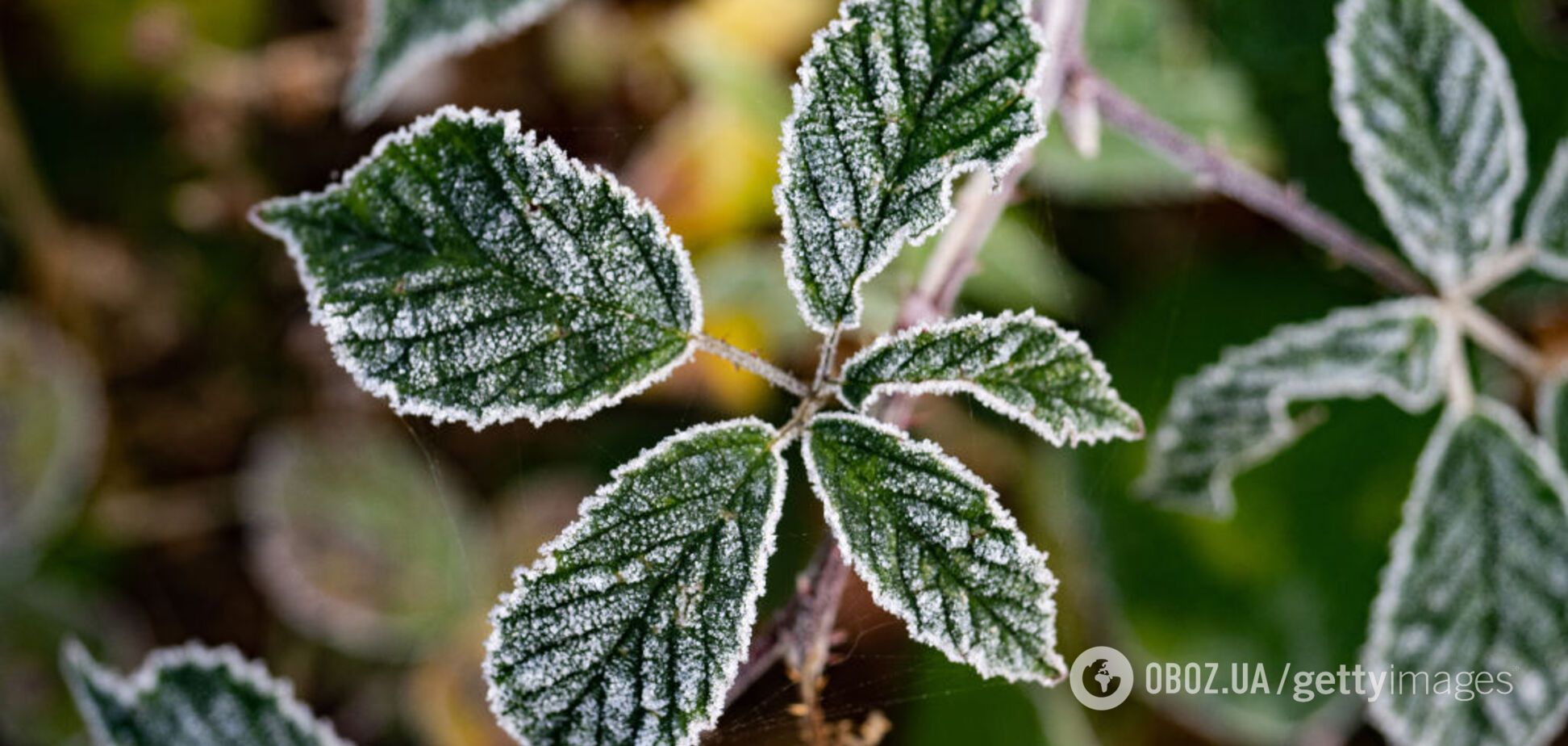 В Україні оголосили штормове попередження: прогноз погоди на 6 жовтня