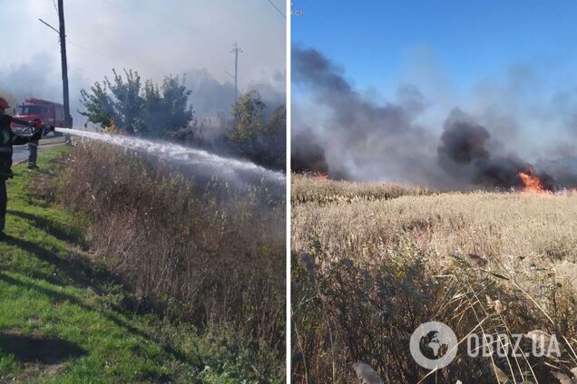 В Балаклее вспыхнул масштабный пожар, огонь удалось остановить возле жилых домов. Фото и видео