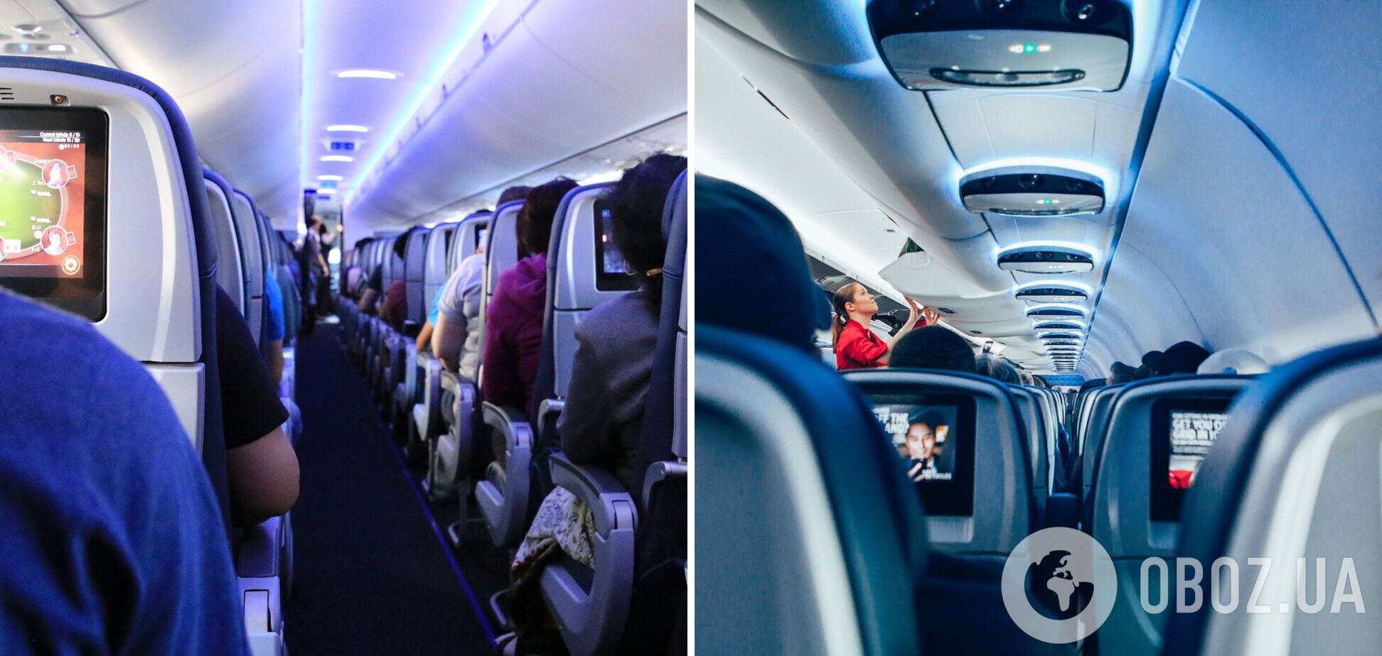 Стало известно, почему в самолетах почти всегда синие кресла