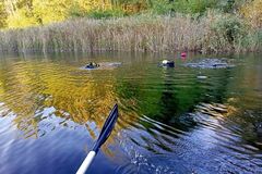 На Черкащині виявили мертвою жінку: напередодні вона залишила дивну записку синові