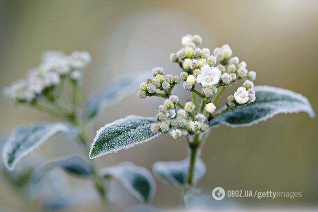 В Украине ударят заморозки, но днем будет тепло: синоптики уточнили прогноз на выходные
