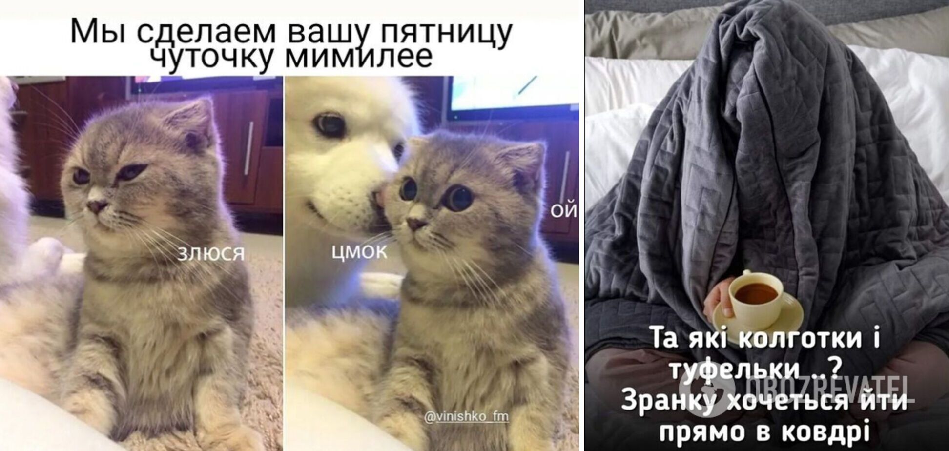 Анекдоты