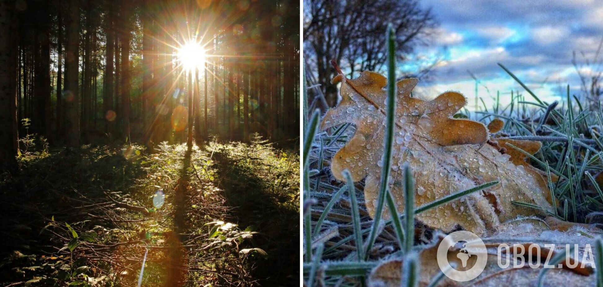 В Україну прийдуть заморозки до -5: синоптики уточнили прогноз погоди на неділю. Карта