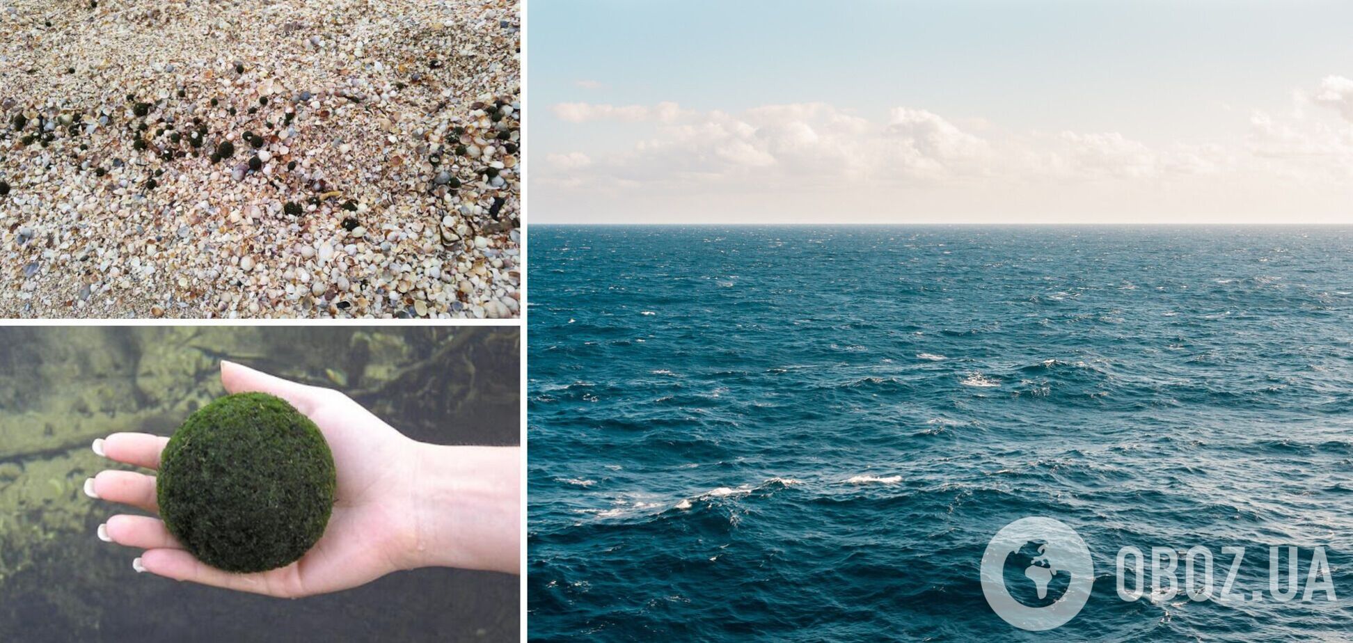 Море викинуло на берег кульки