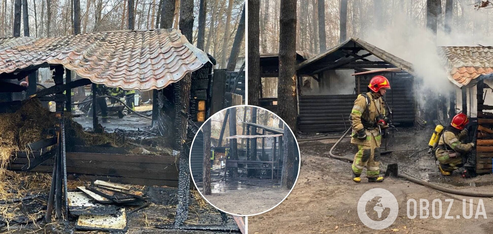 Пожежа виникла у парку «Совки»