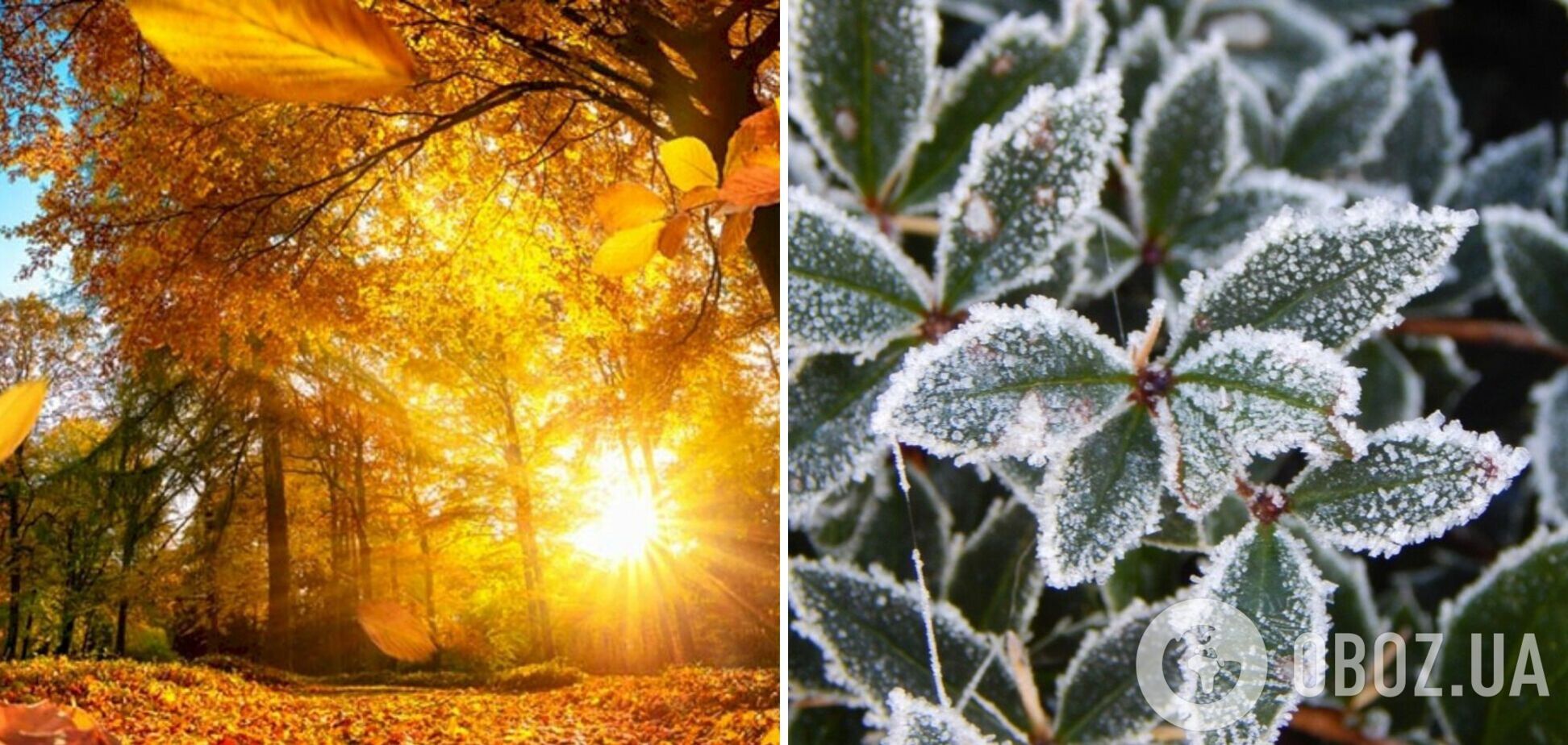 Морозы и утренние туманы: антициклон TILDA принесет в Украину потепление. Карта