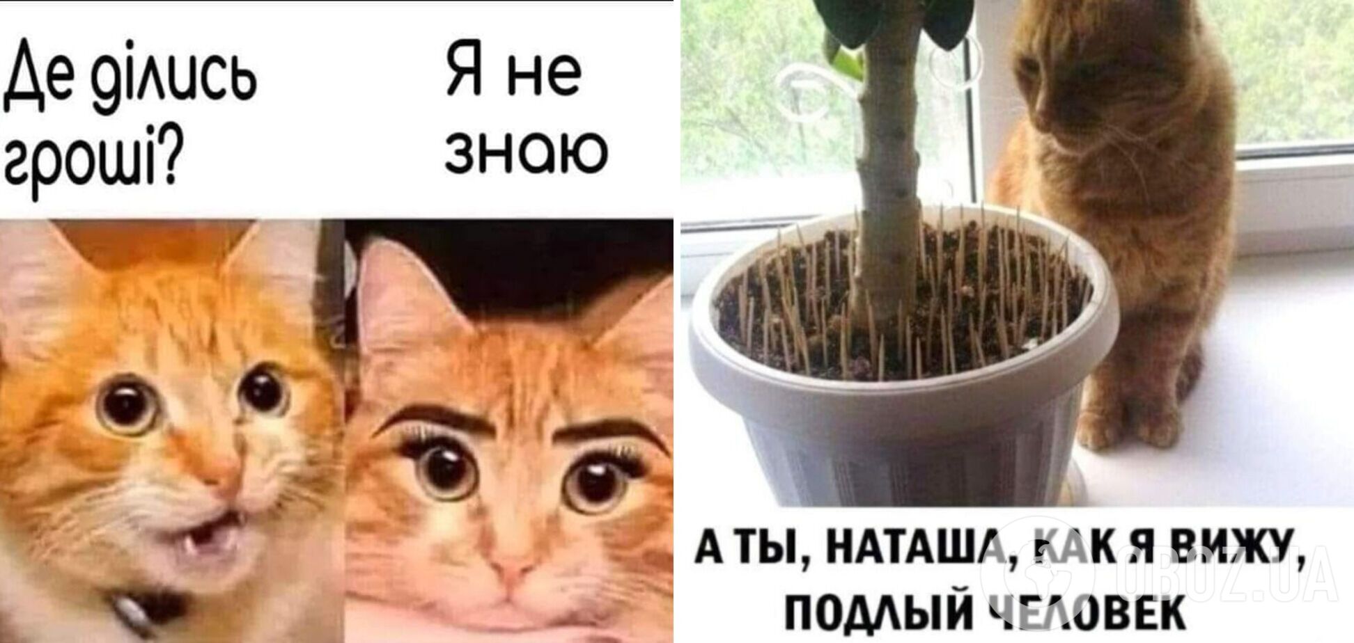 Анекдоти