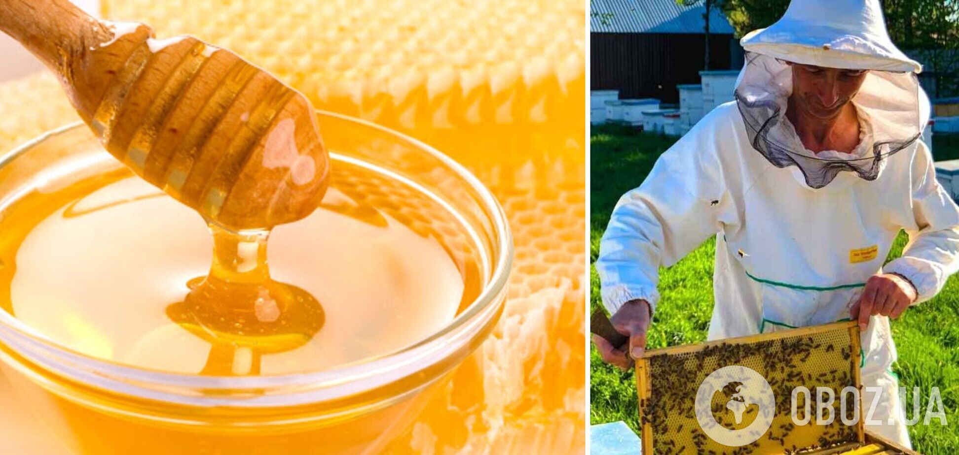 У 2021 році в Україні стрімко зросли ціни на мед