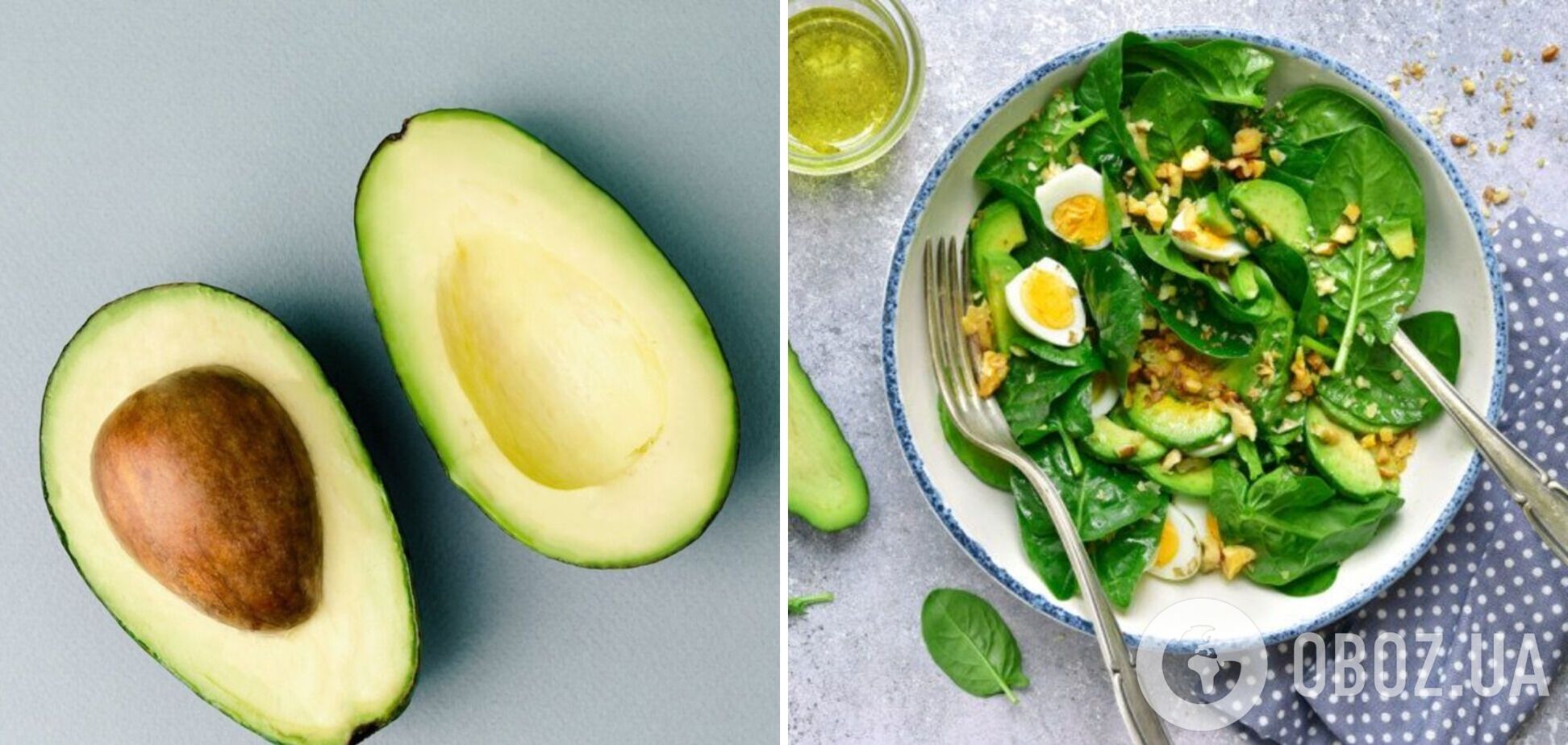 Самые простые рецепты салатов с авокадо: доступные ингредиенты